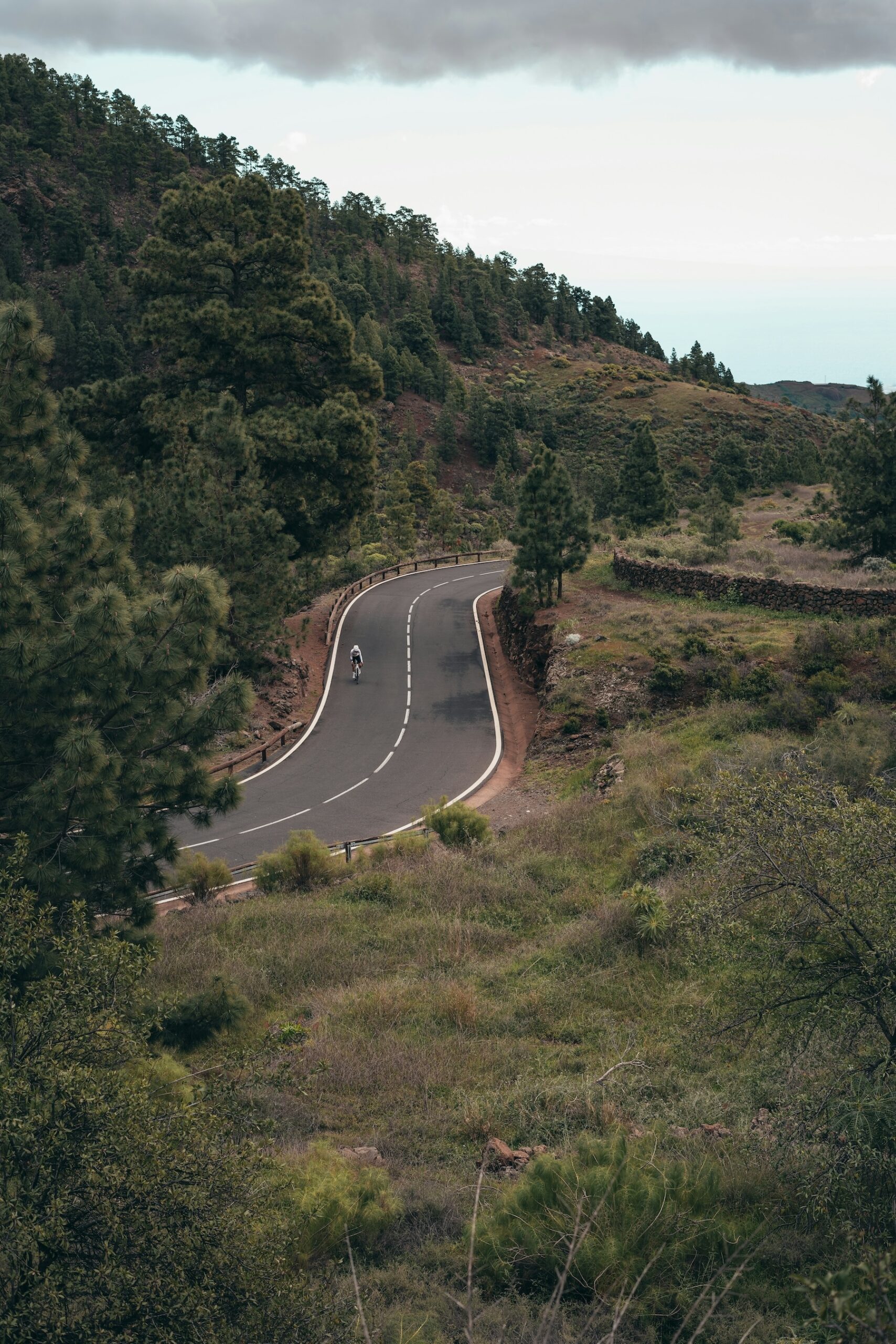 Rennrad fahren für Anfänger