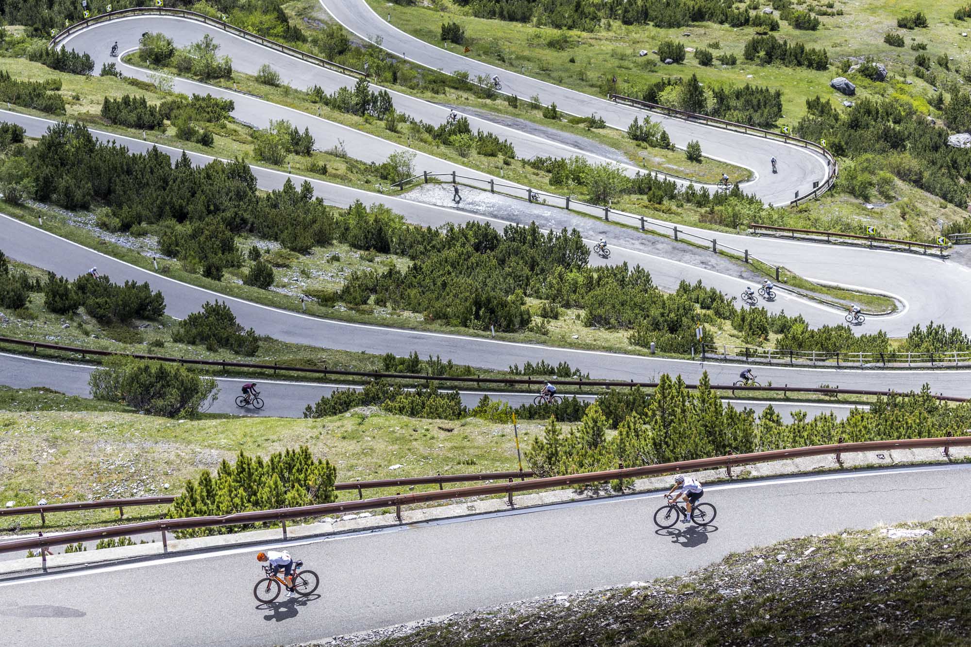La Stelvio Santini 2026