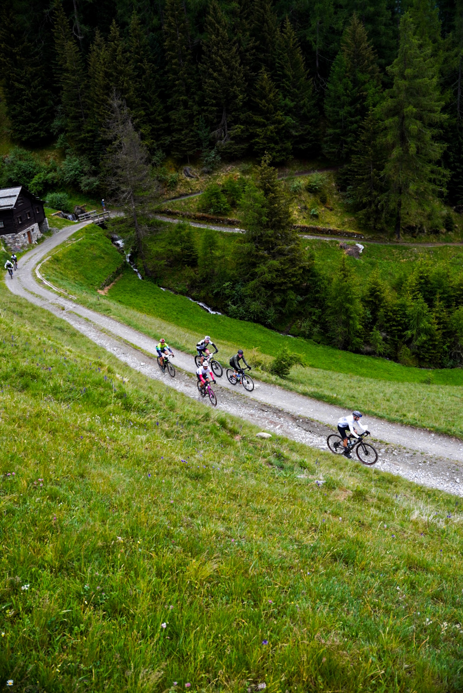 La Stelvio Santini 2026