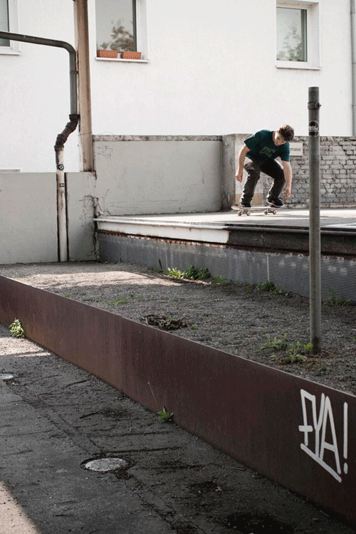Fabian Lang Switch Backside Flip