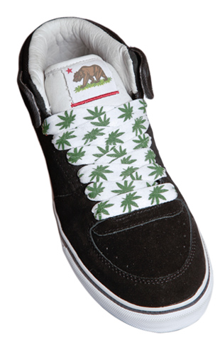 Torey Pudwill DVSxPrimitive Shoe