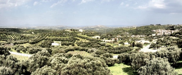 Converse The Great Escape Tour