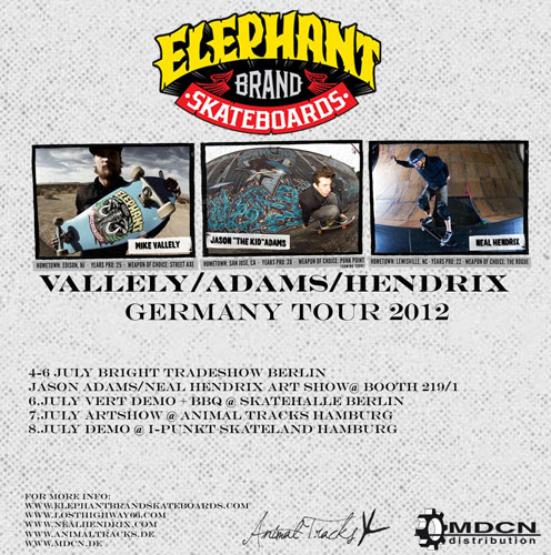 Elephant Skateboards Demo