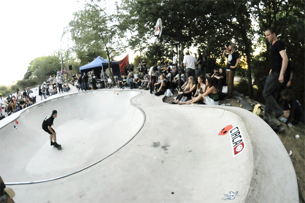 bowl owl contest 2012