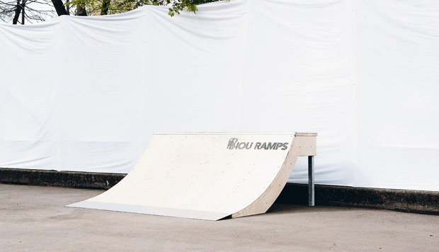 SkateboardMSM Basics Guide Fabian Neugebauer  Blunt to Fakie