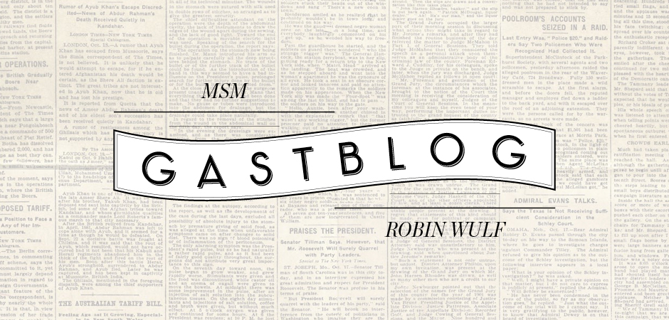 Skateboardmsm Gastblog Robin Wulf