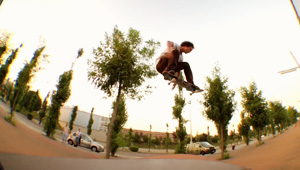 Michael Mackrodt Retrospective