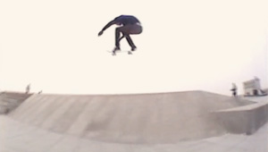 Daniel Pannemann Bird Watch