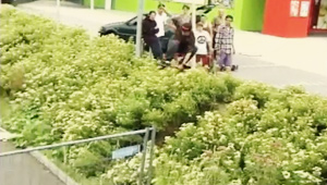 Freedom Freshman Cup