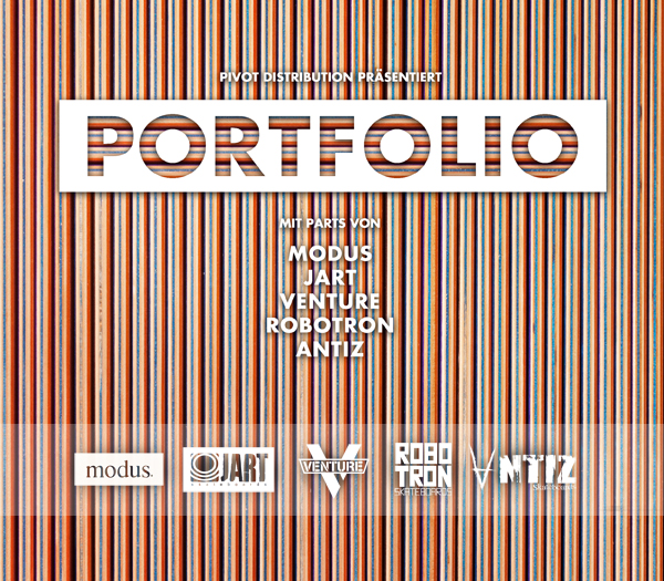 Portfolio_Flyer