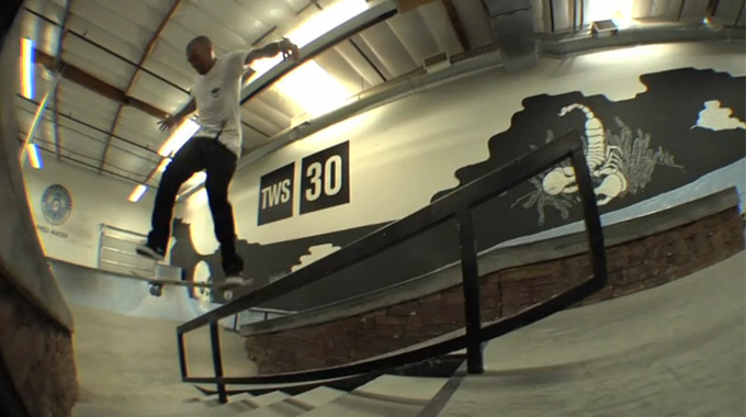 Cameo Wilson 12 Pack