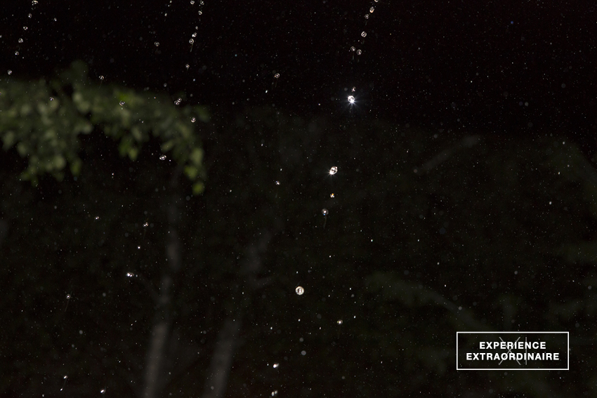 Experience Extraordinaire XI