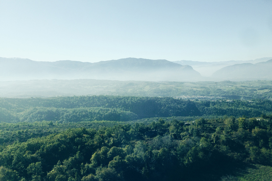 Vans Italien Tour 2014