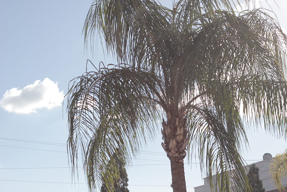 Denny Pham & Jost Arens in Tampa