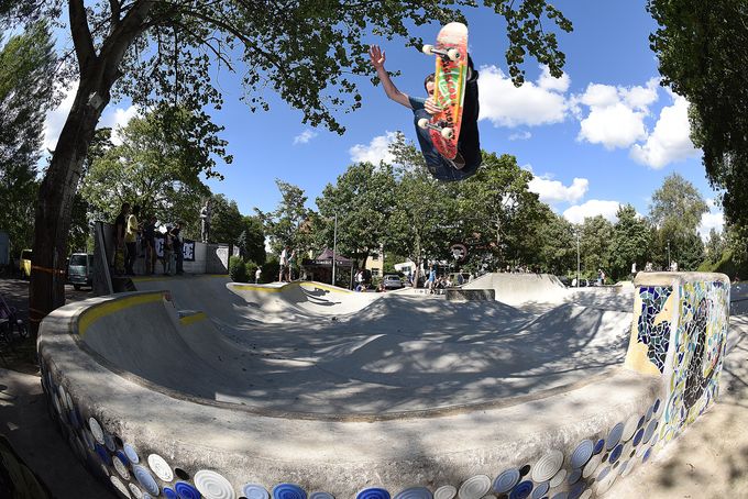 19431393593_0000877a02_o