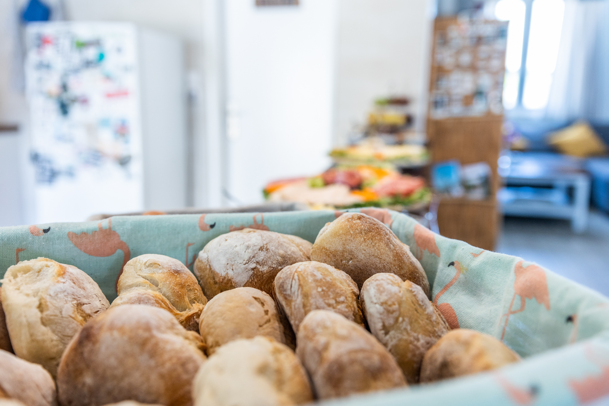 Skate and Surf Trip Portugal