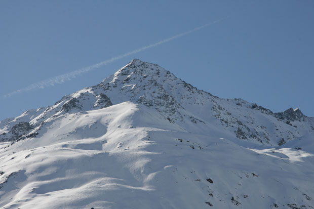 PitztalWildface6 PitztalWildface6