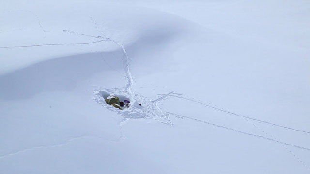 LOST_AND_FOUND_PR2_05