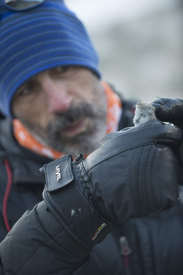 Distillery_COTM_RichardFeldererGetWild-3481