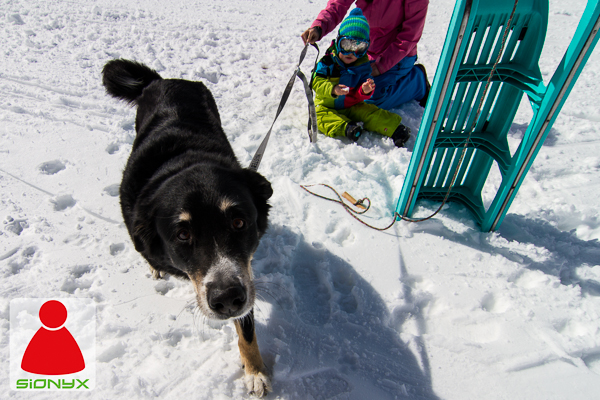 20130413_Sionyx-7D_0397-Edit