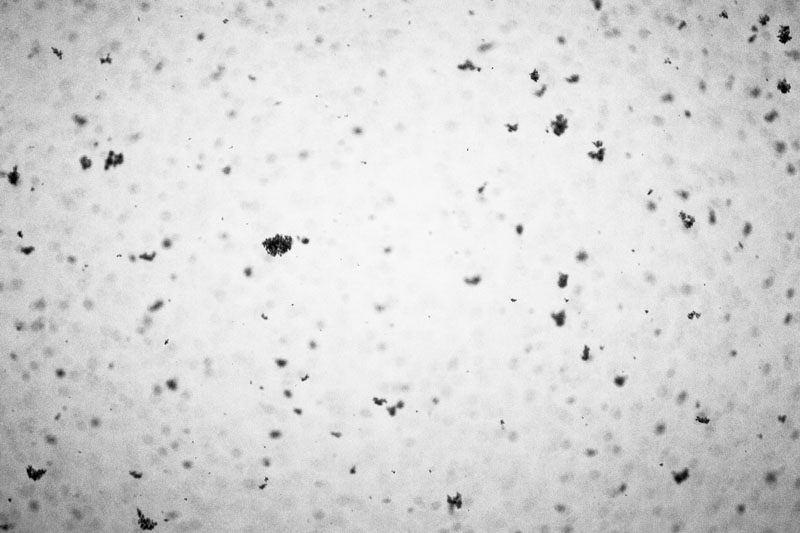 CS_20140124_MFO_2014_0001