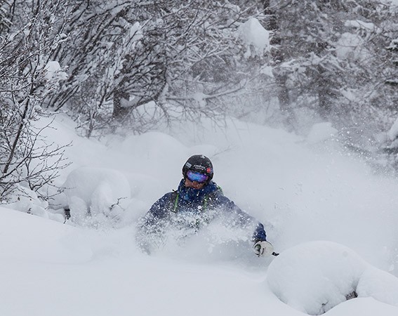 Felix will den Faceshot