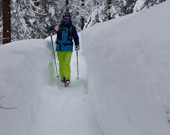 Wiemers das male Model