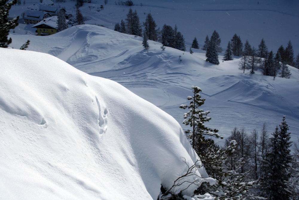 THESPOT_POWKICKER_72dpi