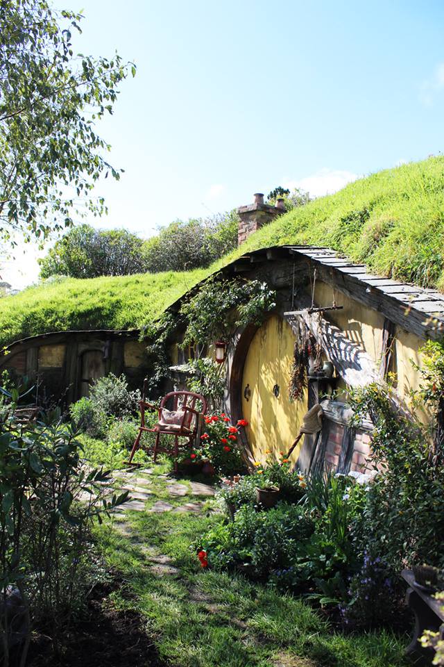 10819084_10205317049395165_1177636181_n