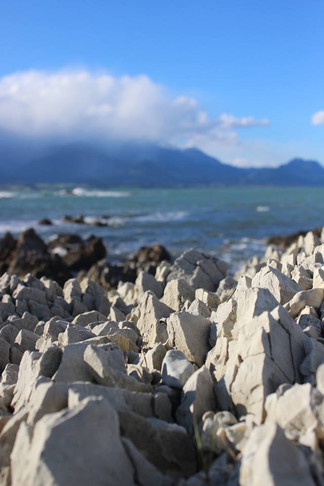 10822206_10205317050035181_313082591_n