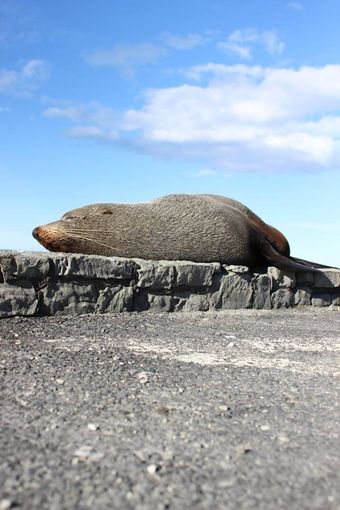 10833920_10205317047435116_141248177_n