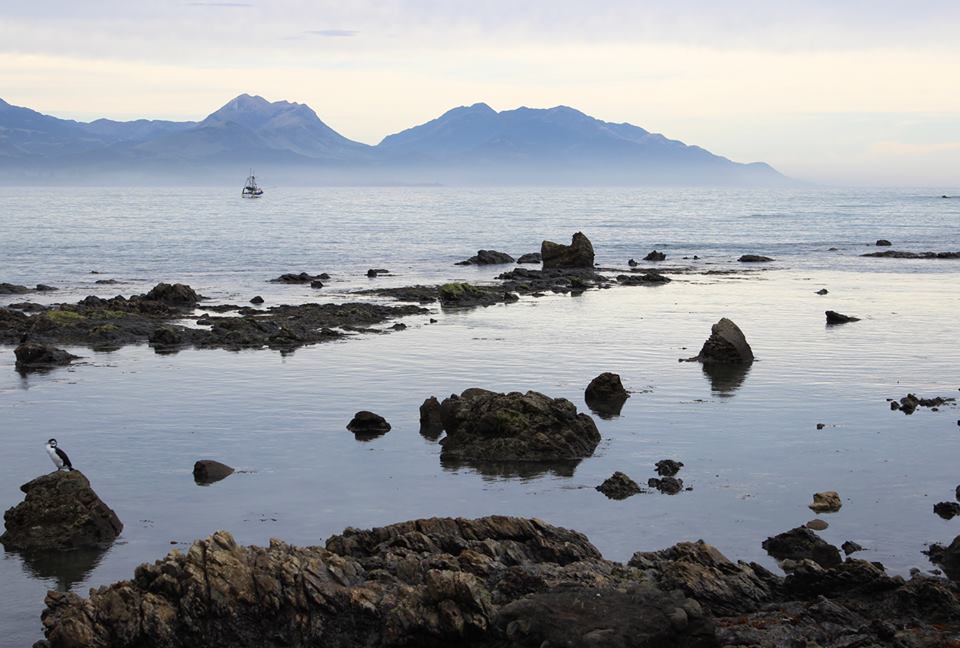 10833982_10205317049835176_2112184265_n