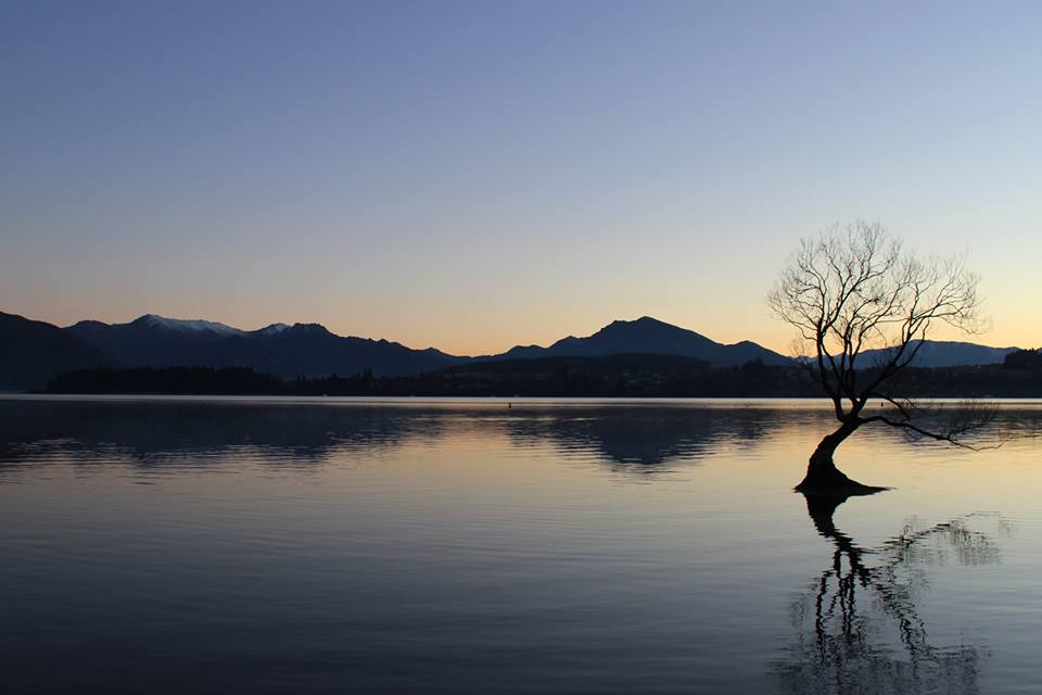 10846536_10205317046795100_1438371298_n