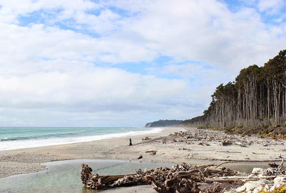 10846613_10205317050275187_1209924456_n