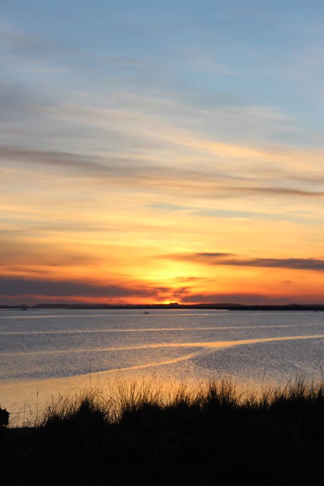 10846990_10205317047835126_233182827_n