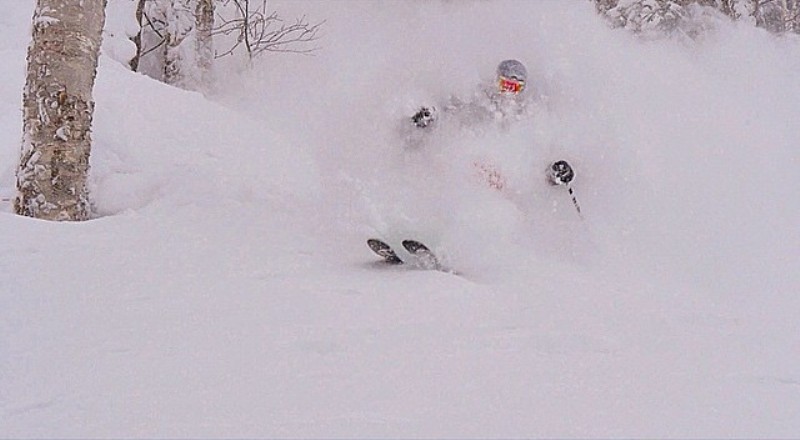 10569041_10205194356395227_9143864845926296461_n