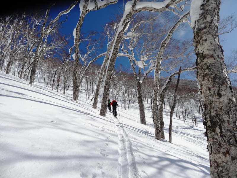 ???????????????????????????????