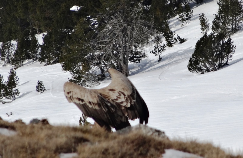 ???????????????????????????????