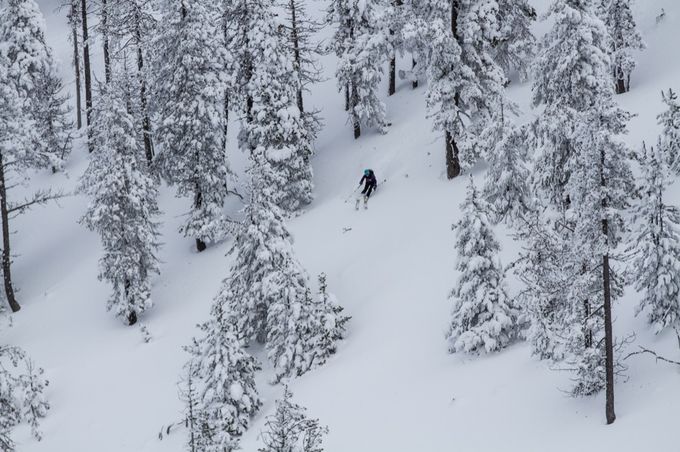 EFT-tavascan-©markus-boss-044