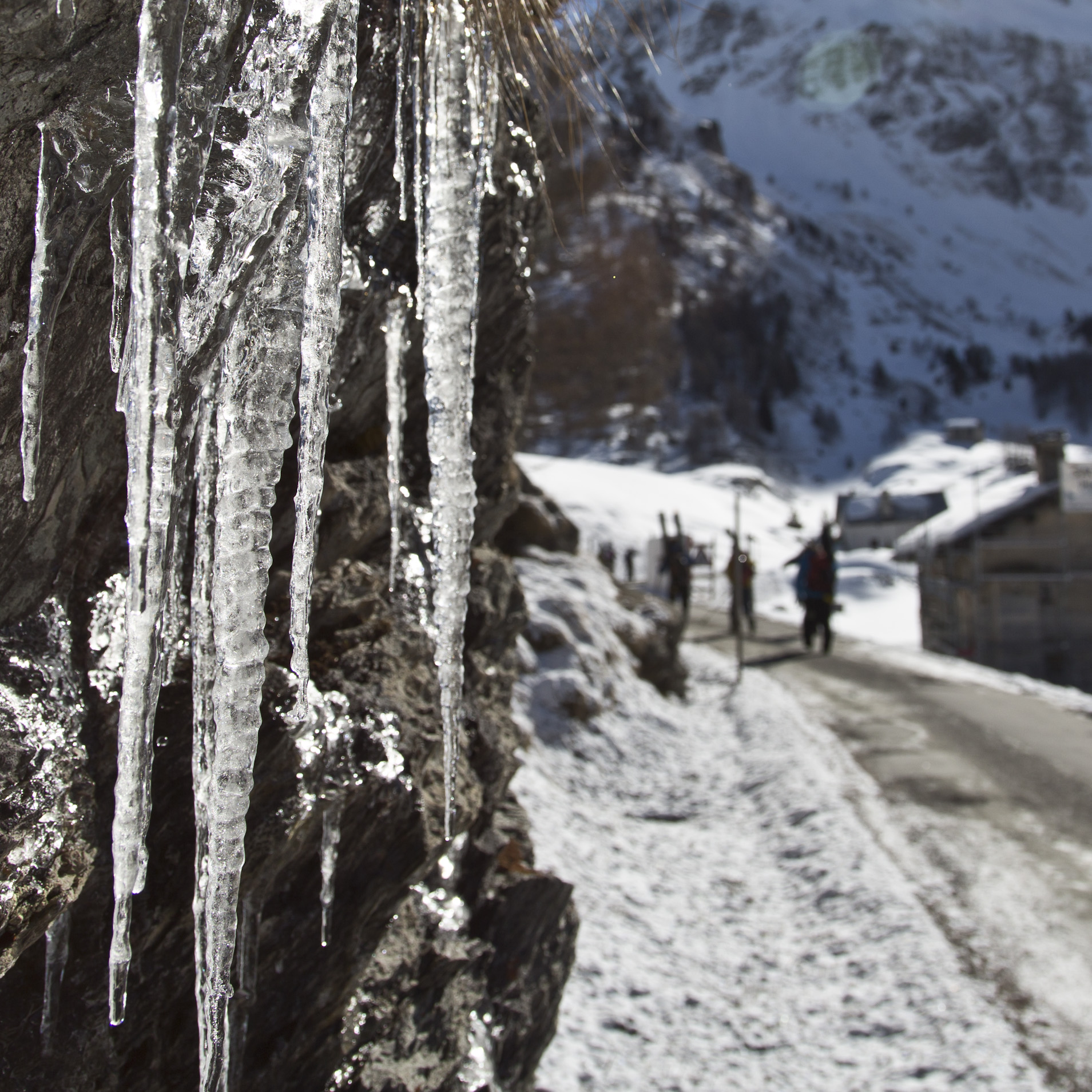 eco Freeride Forno Hütte_by Anton Brey