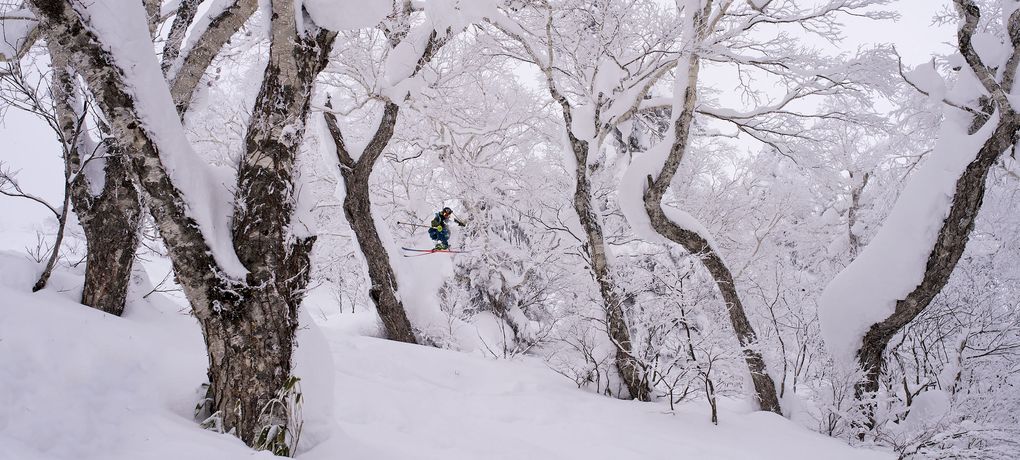 Pic by michi neumann, hokkaido japan