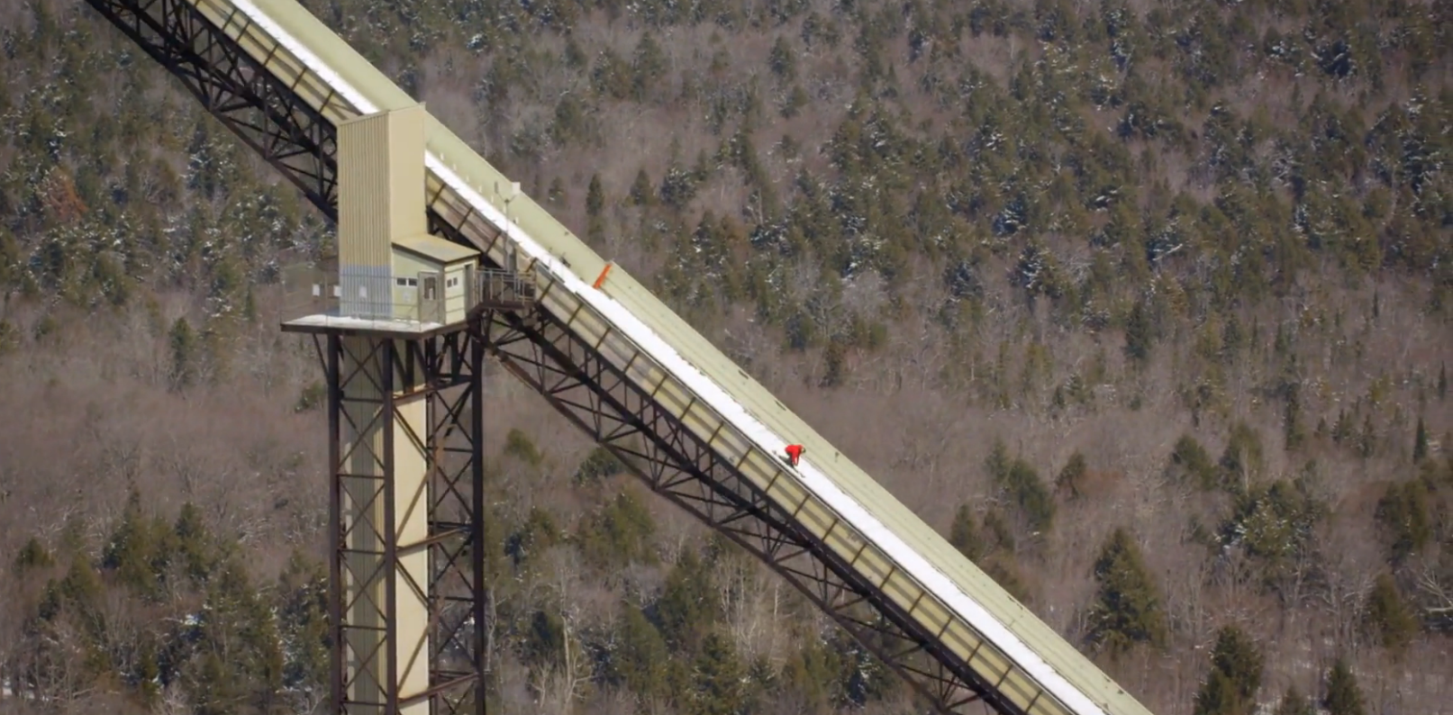 Sammy for his new project