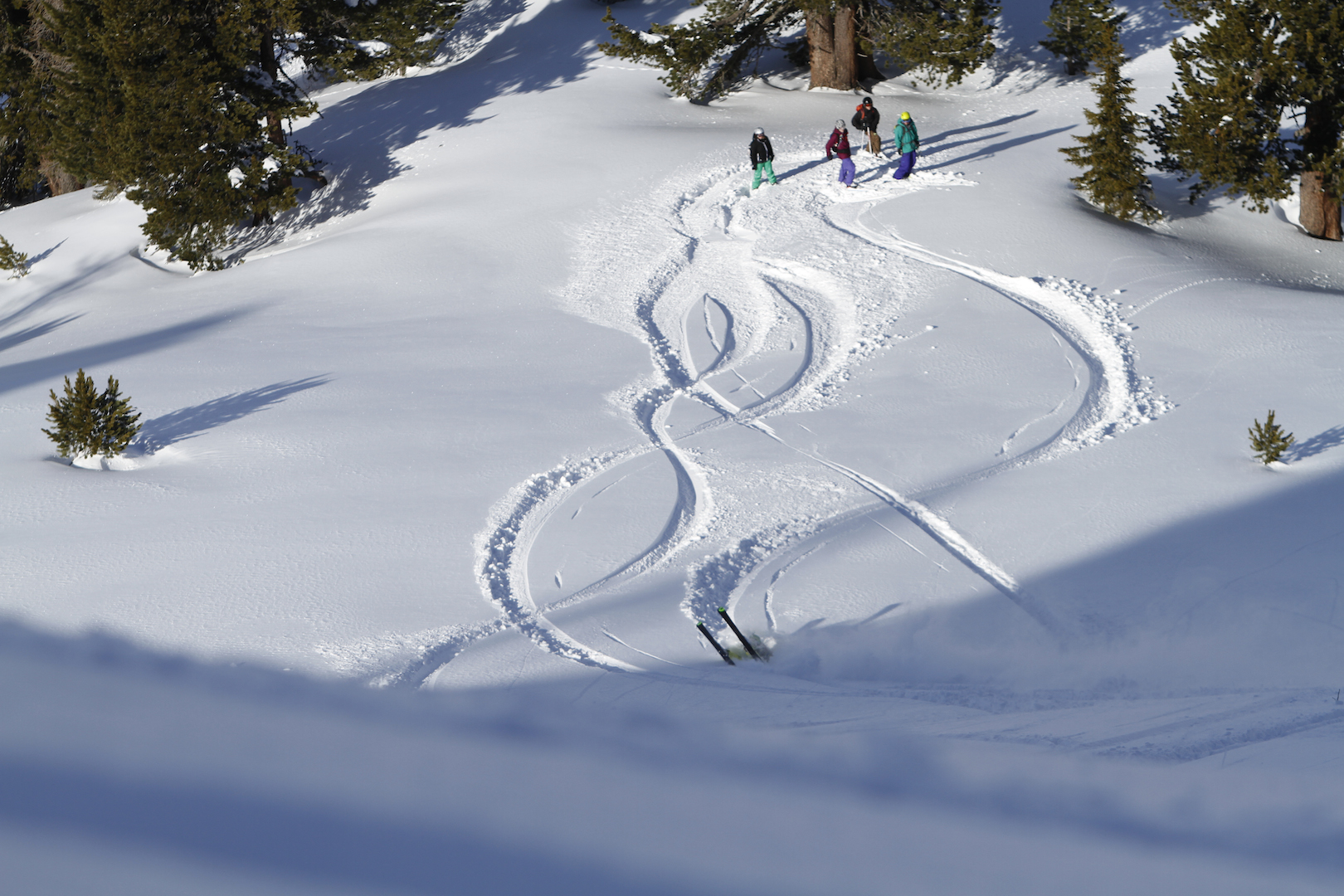 Es ist noch kein Meister vom Himmel gefallen...