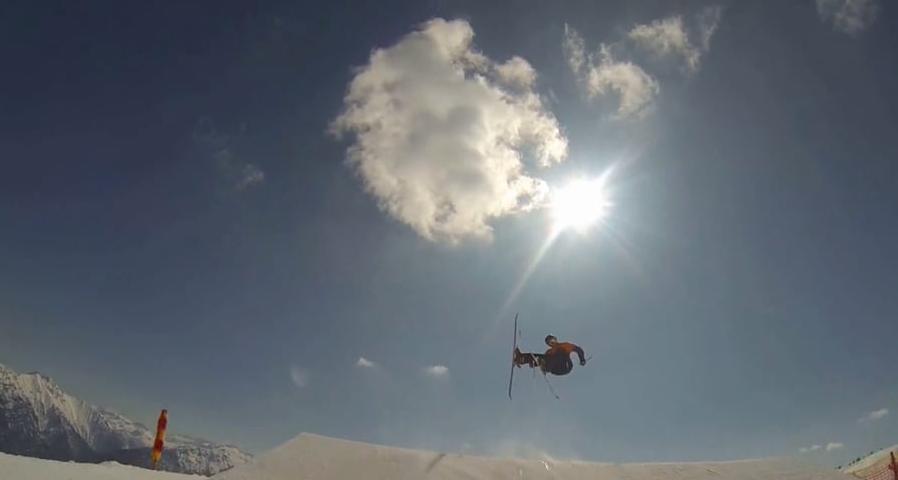 Scherfler Flat japan