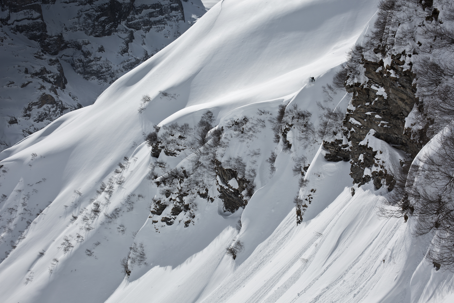 Daniel Loosli Foto: Julian Fürsinger