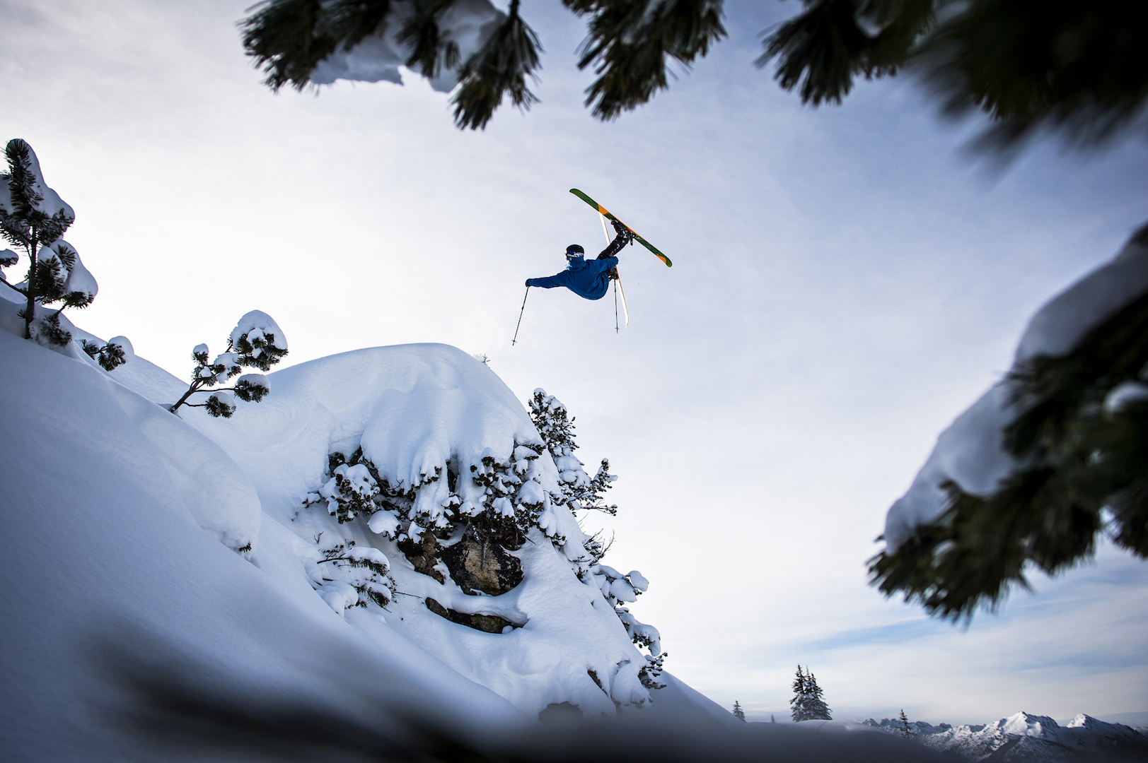 credit: Pally Learmond