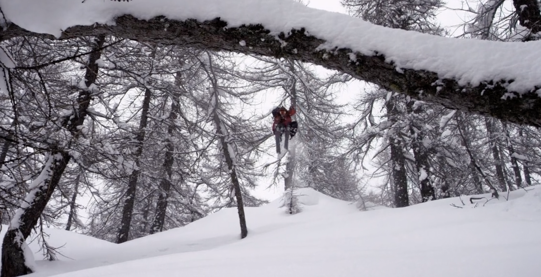 DPS Skis Shadow Campaign