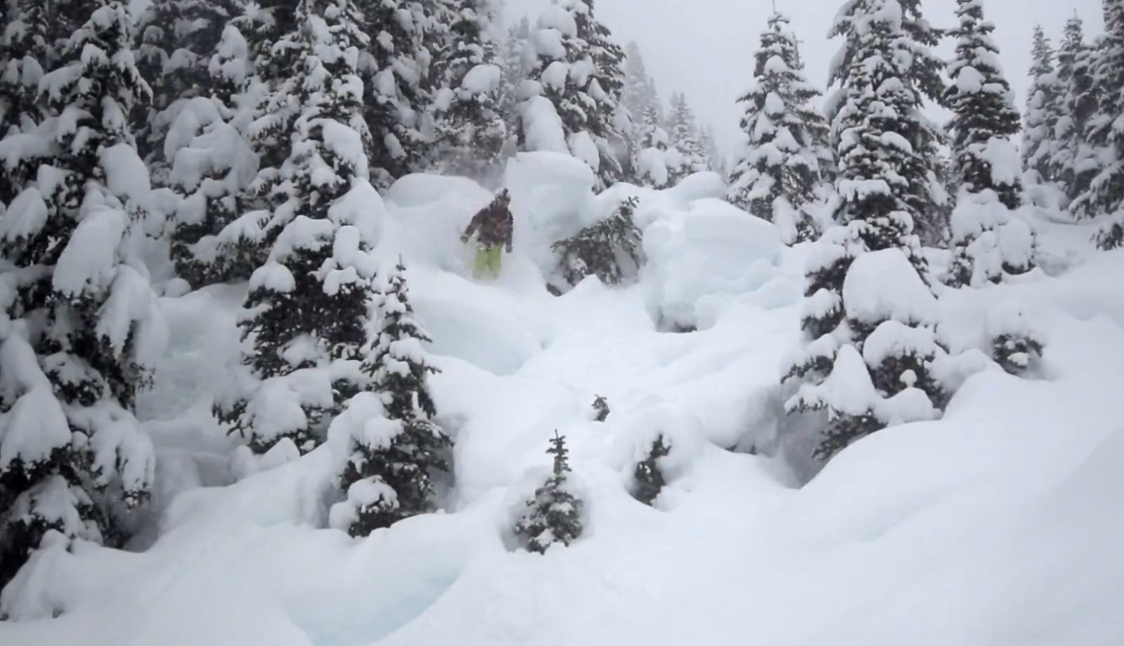 Quest University Shred