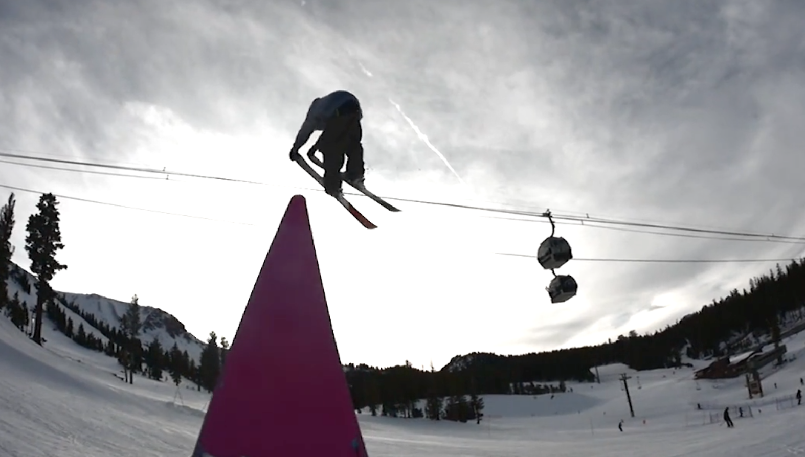 Jungle Speed The Bunch