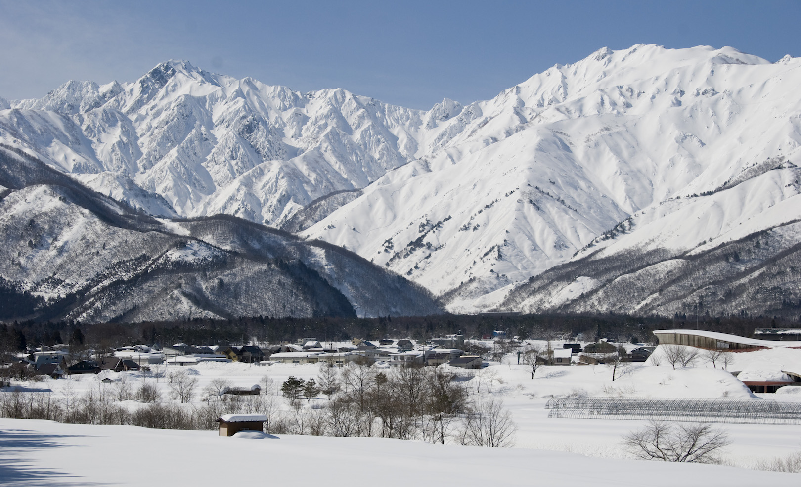 credit: freerideworldtour.com / Sarah Mulholland